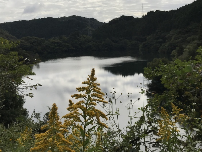 6576BEE6-2DDE-4C0D-8AEB-15ED4BF55E4F.jpeg