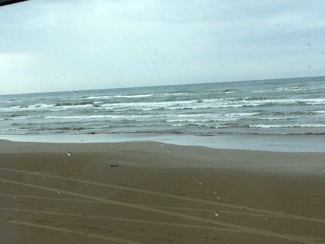 IMG_0143.JPG