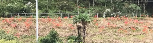 IMG_02412.jpg