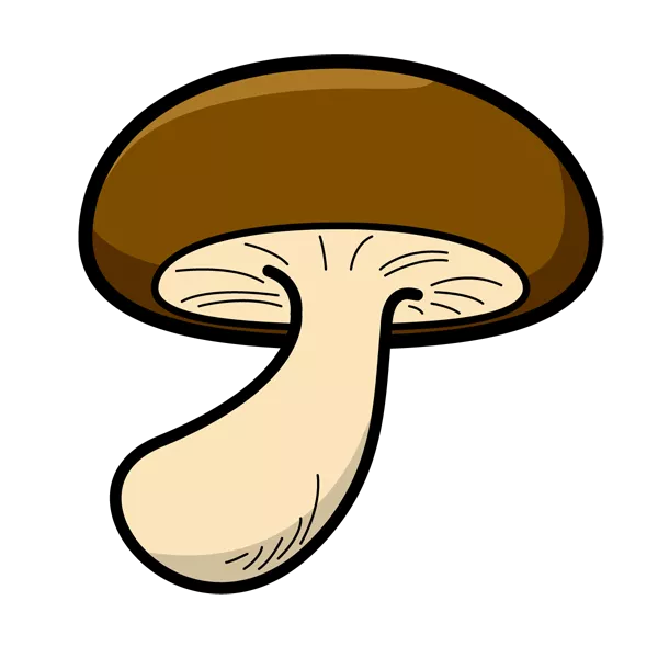 IMG_0302.PNG