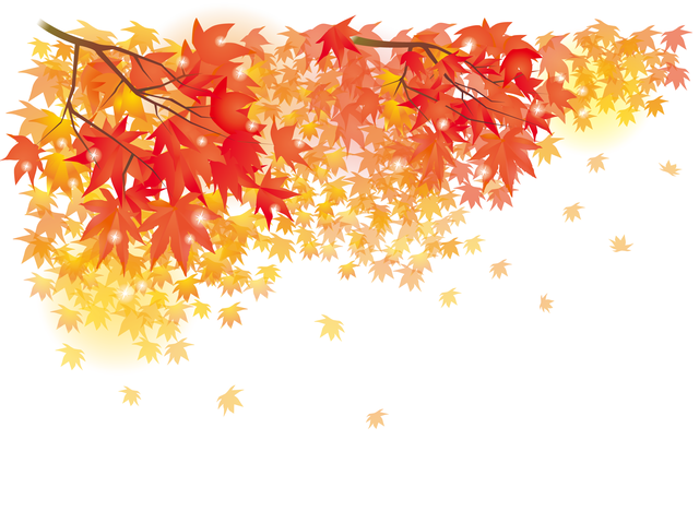 IMG_0337.PNG
