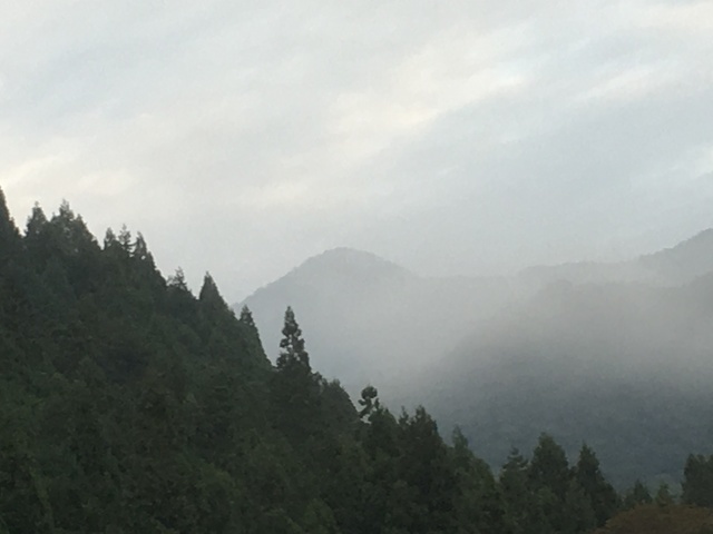 IMG_0408.JPG