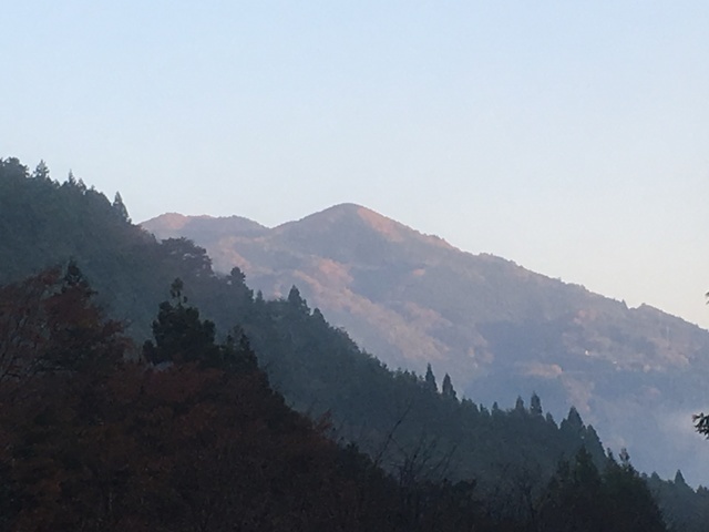 IMG_0493.JPG