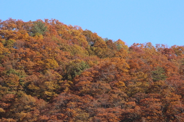 IMG_4163.JPG