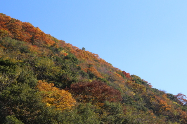 IMG_4164.JPG